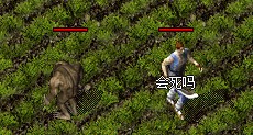 钉耙猫