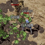 多钩猫