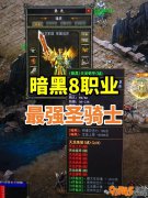 ��ǿʥ��ʿ������ְҵ���ռ��ػ���